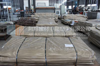 擴(kuò)張網(wǎng)